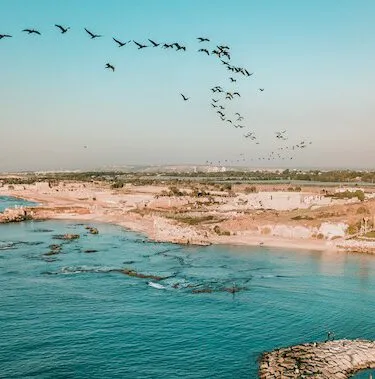 DJI_0110-2_Original