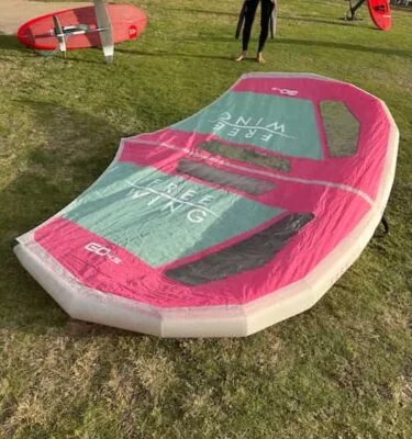 כנף wing יד 2 Freewing Go V2 4.5M