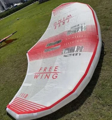 כנף wing יד 2 Freewing Pro 6.0M